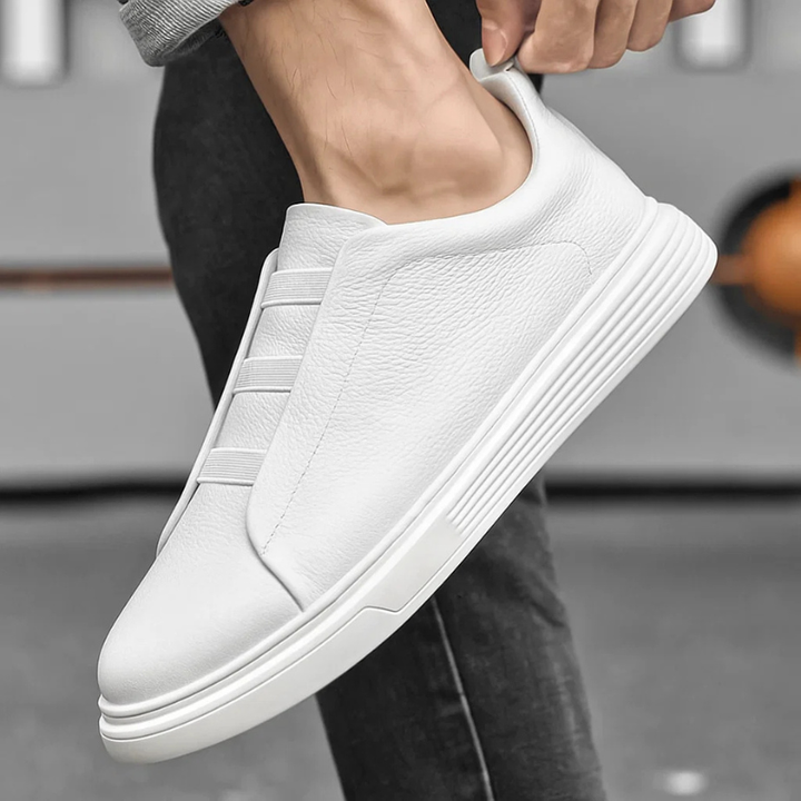 https://cdn.shopify.com/s/files/1/0830/7487/5738/files/10_091c31f3-a5de-409f-b455-70eca6dd3487.png?v=1778705302