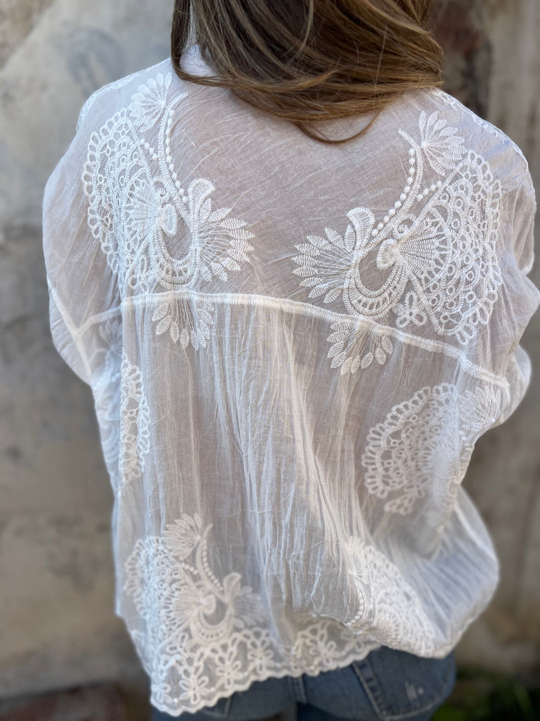 https://cdn.shopify.com/s/files/1/0830/7487/5738/files/Beltz___Elegant_Blouse_with_Embroidered_Lace_Panels_5.jpg?v=1778598157