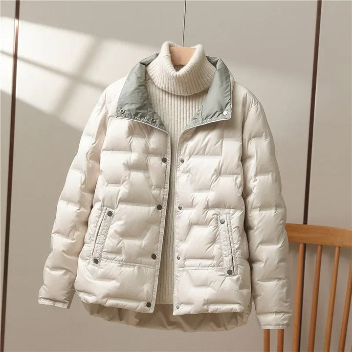 https://cdn.shopify.com/s/files/1/0830/7487/5738/files/HighCollarQuiltedDownJacket1.jpg?v=1773741305