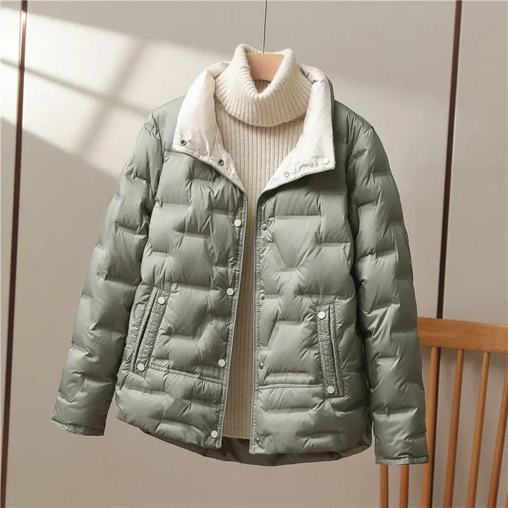 https://cdn.shopify.com/s/files/1/0830/7487/5738/files/High_Collar_Quilted_Down_Jacket4.jpg?v=1773741305