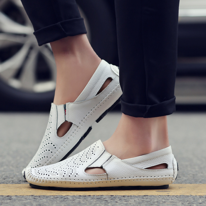 https://cdn.shopify.com/s/files/1/0830/7487/5738/files/Main_image_01_aa535b30-8711-47af-9a37-400e0bead07f.png?v=1778705347