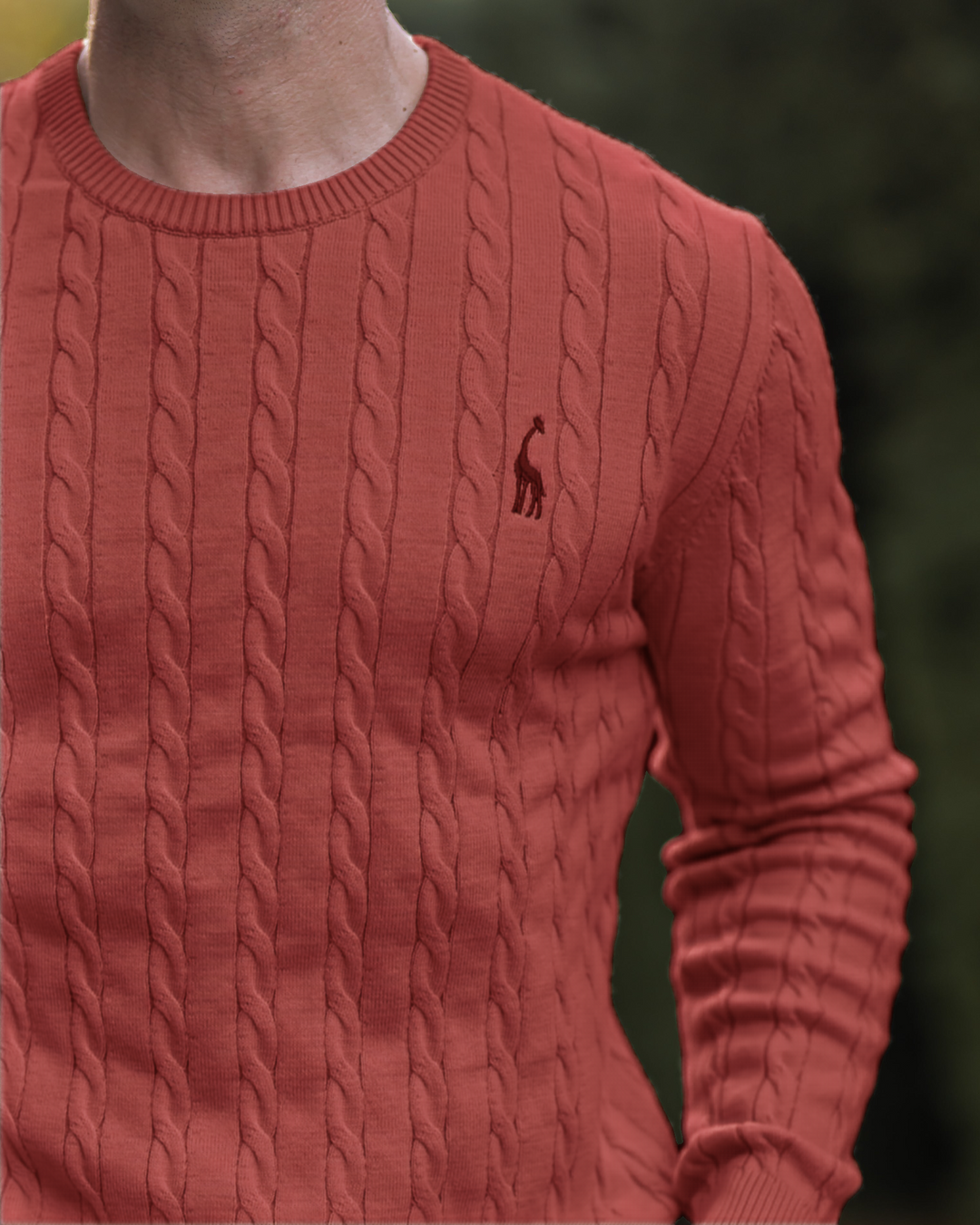 https://cdn.shopify.com/s/files/1/0913/7753/3275/files/Mens-Cable-Knit-Sweater-11.png?v=1773073102