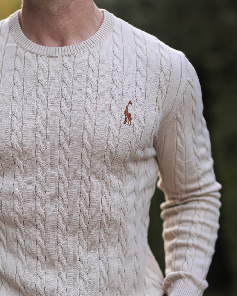 https://cdn.shopify.com/s/files/1/0913/7753/3275/files/Mens-Cable-Knit-Sweater-2.jpg?v=1773073058
