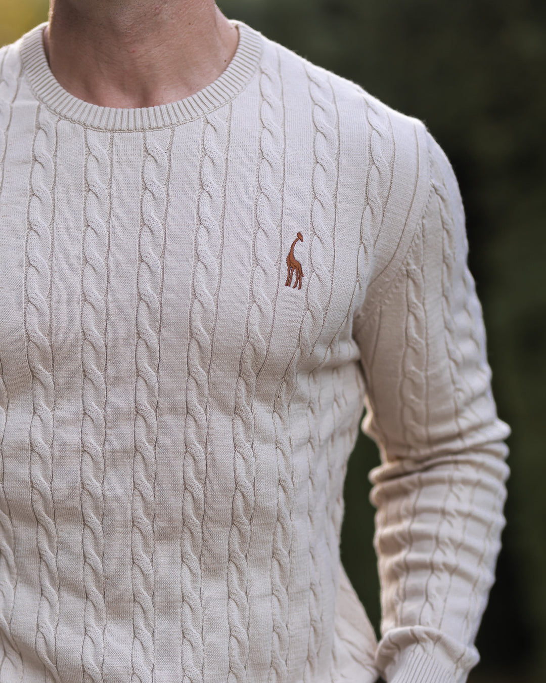https://cdn.shopify.com/s/files/1/0913/7753/3275/files/Mens-Cable-Knit-Sweater-2.jpg?v=1773073058