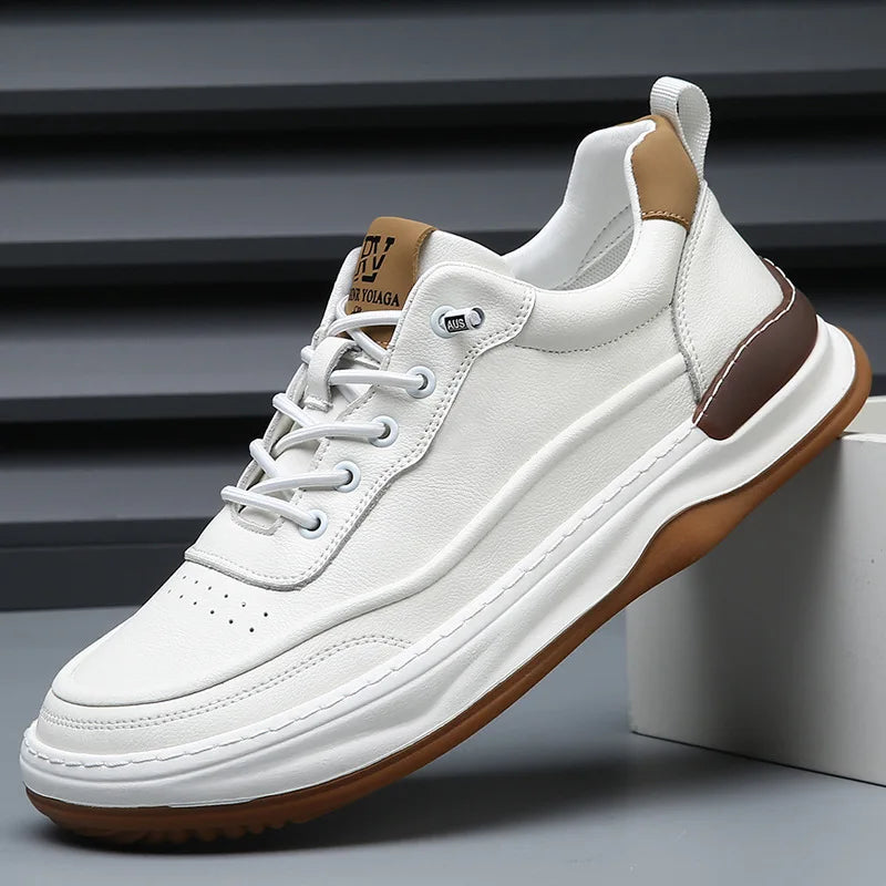 https://cdn.shopify.com/s/files/1/0830/7487/5738/files/S3c93dd2c0dc24923a85bb5f029429455M.webp?v=1773740919