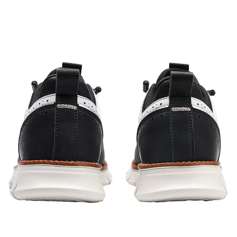 https://cdn.shopify.com/s/files/1/0830/7487/5738/files/Sc9668c705f824b9894100697b1936ae40.webp?v=1773741358