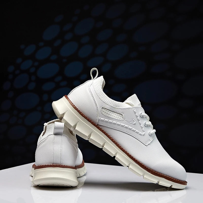 https://cdn.shopify.com/s/files/1/0830/7487/5738/files/description-image-14_1.jpg?v=1778082293