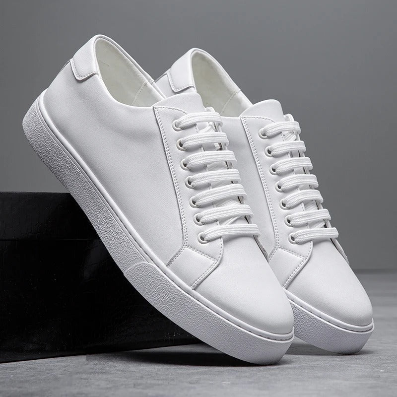 https://cdn.shopify.com/s/files/1/0830/7487/5738/files/main-image-11_1_f8606a28-0586-410b-8b41-34d21e5ac0aa.jpg?v=1778082526