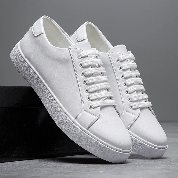 https://cdn.shopify.com/s/files/1/0830/7487/5738/files/main-image-11_1_f8606a28-0586-410b-8b41-34d21e5ac0aa.jpg?v=1778082526