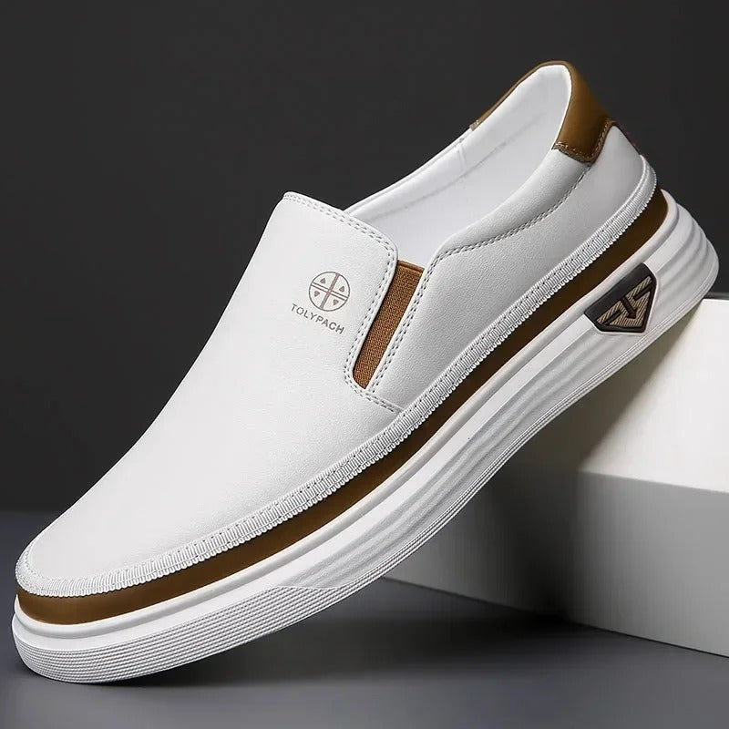https://cdn.shopify.com/s/files/1/0830/7487/5738/files/main-image-1_b3139271-ff94-453a-9612-a16a936bc6f1.jpg?v=1778082523