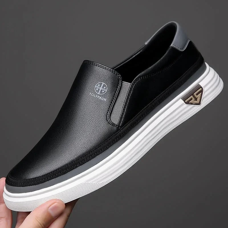 https://cdn.shopify.com/s/files/1/0830/7487/5738/files/main-image-2_f03814db-917e-41b9-aa94-df10cec4aef9.jpg?v=1778082523