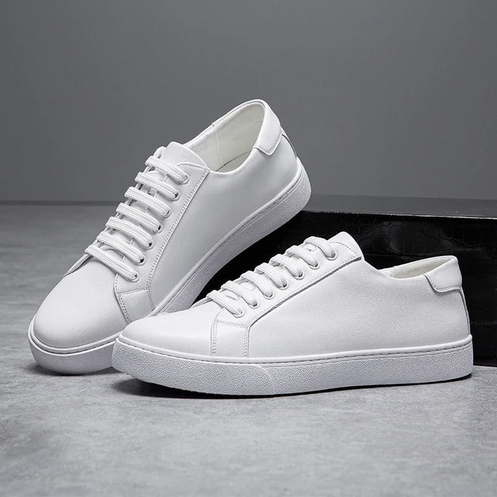 https://cdn.shopify.com/s/files/1/0830/7487/5738/files/main-image-4_69ffb900-c0df-402c-8ee6-8ac95254019a.jpg?v=1778082526