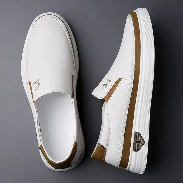 https://cdn.shopify.com/s/files/1/0830/7487/5738/files/main-image-4_7703a83c-ac5e-455d-a727-2834d72ac521.jpg?v=1778082523