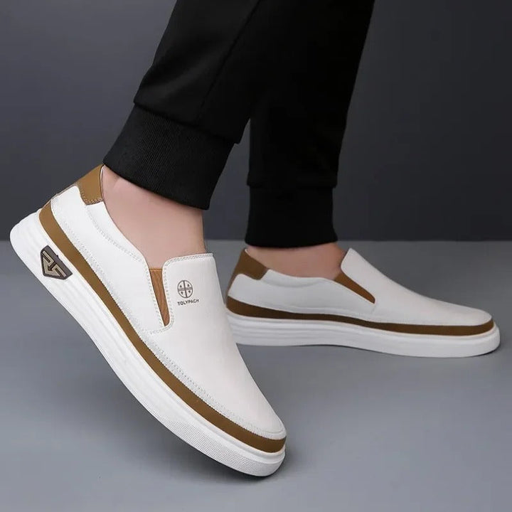 https://cdn.shopify.com/s/files/1/0830/7487/5738/files/main-image-5_45bfa5fe-b4bb-47d0-8ccd-826e44079484.jpg?v=1778082523
