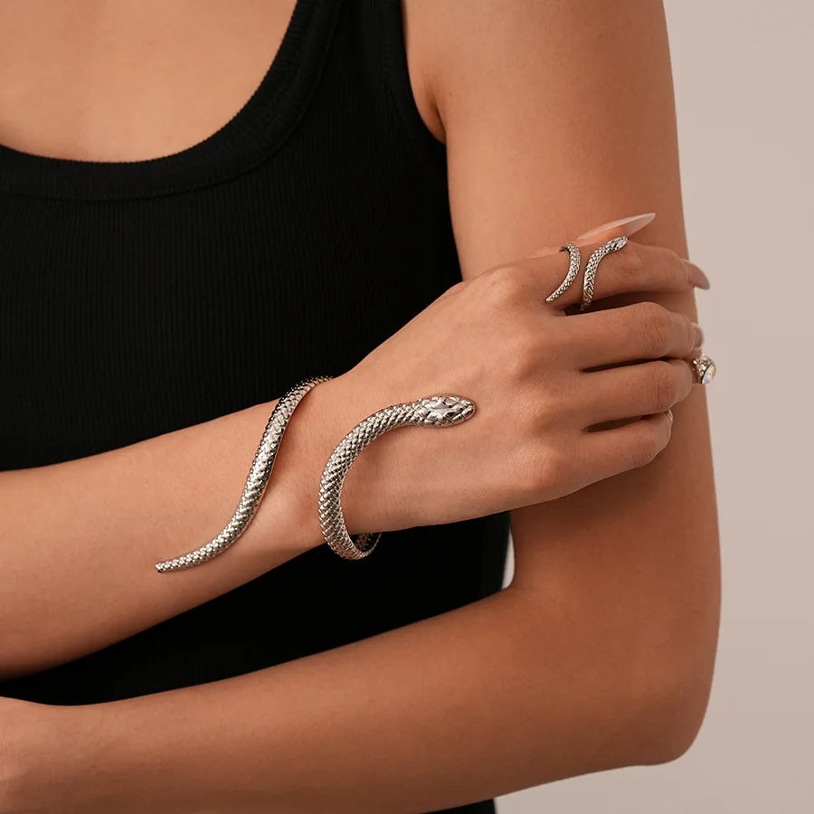 https://cdn.shopify.com/s/files/1/0830/7487/5738/files/ring_silver_color.jpg?v=1773741555