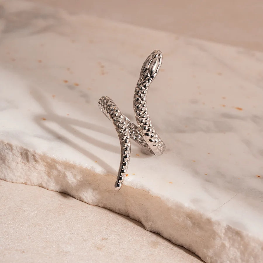 https://cdn.shopify.com/s/files/1/0830/7487/5738/files/ring_silver_color_71f134d3-60b4-485e-b8f1-035492112be2.jpg?v=1773741555