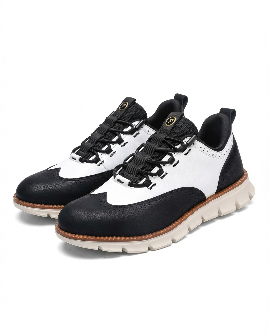 https://cdn.shopify.com/s/files/1/0830/7487/5738/files/v1-PP5-black-white-1.png?v=1778082384