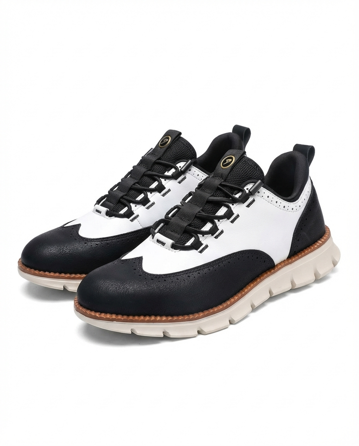 https://cdn.shopify.com/s/files/1/0830/7487/5738/files/v1-PP5-black-white-1.png?v=1778082384