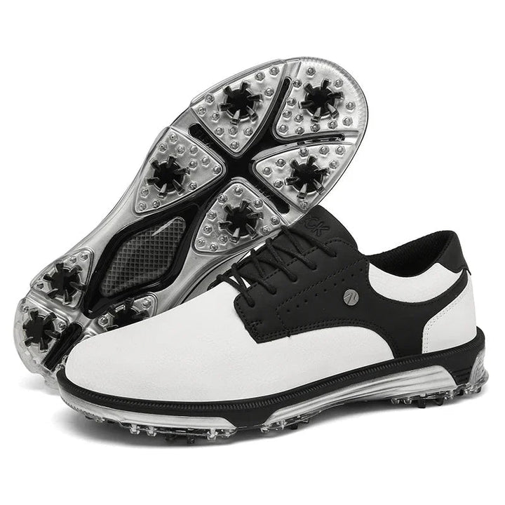 https://cdn.shopify.com/s/files/1/0830/7487/5738/files/white_black.jpg?v=1778082297